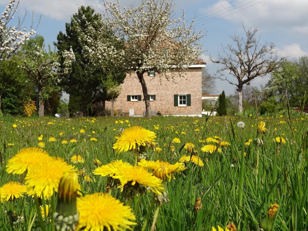 Landhaus Loewenzahn Unteregg Eksteriør bilde